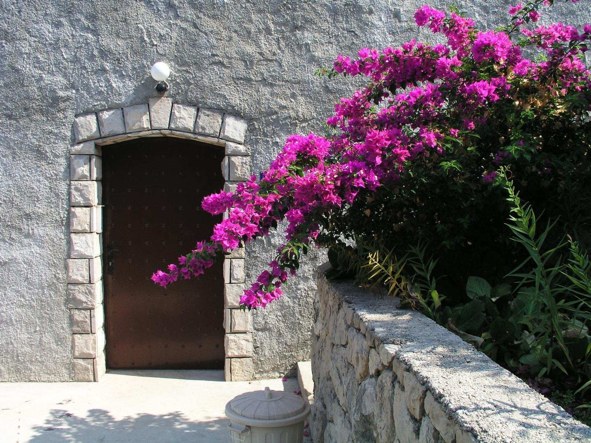 Apartments Bajo - Free Parking Dubrovnik Exterior foto