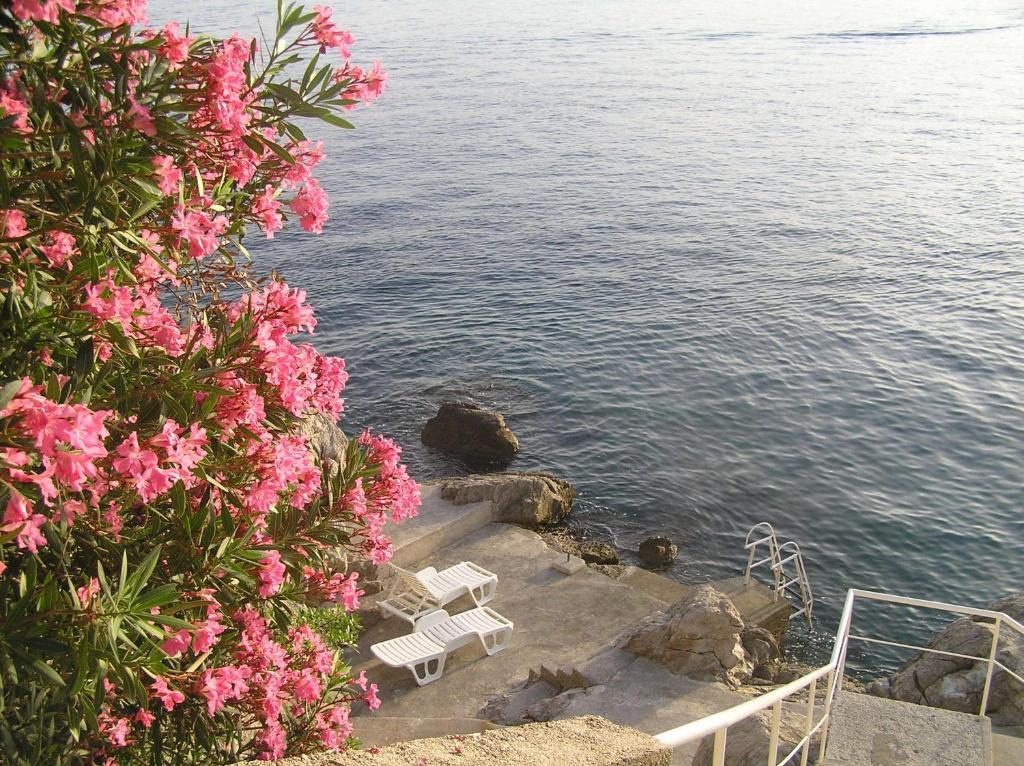 Apartments Bajo - Free Parking Dubrovnik Exterior foto